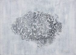 Cryogénisé Cryogénisé - 24 x 33 - Acrylique sur toile - 2018