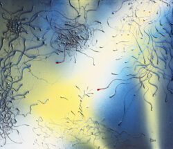 117 x 100 - acrylique sur isorel - 2015