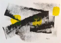 Premières cellules cubiques