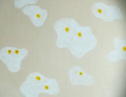 Les p'tits yeux au plat