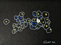 Un œuf cuit, un œuf isolé