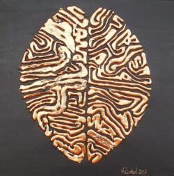 Vieux sage Vieux sage - 40 x 40 - Acrylique sur toile - 2018